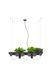 Люстра Zumaline Plant Shelf 5555 на 3 лампы E14, черная, 80 &times; 120 &times; 25 см - изображение 3