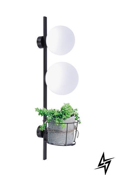 Настенное бра Zumaline Plant 5002 черное E27 5002 фото