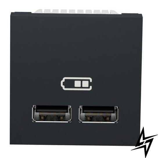 Подвійна USB розетка NU341854 2.1А 2М антрацит Unica New Schneider Electric фото