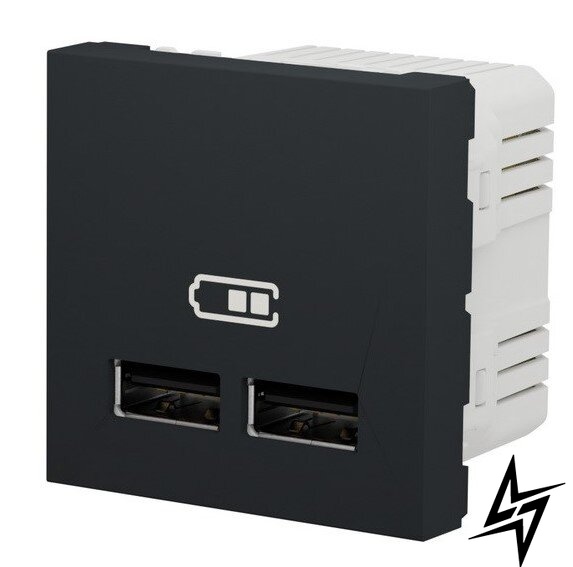Подвійна USB розетка NU341854 2.1А 2М антрацит Unica New Schneider Electric фото