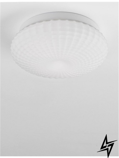 Стельовий світильник Nova luce Clam 9738256  фото наживо, фото в дизайні інтер'єру