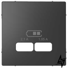 Центральна панель D-Life для USB Антрацит MTN4367-6034 фото