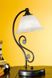 Декоративна настільна лампа Eglo Murcia 91007 35356 фото в дизайні інтер'єру, фото наживо 4/8