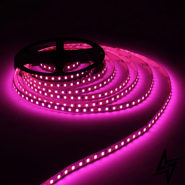 LED лента LED-STIL 2835 120 шт, DC 12V, 9,6 W, IP33, розовый цвет свечения фото