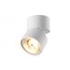 Точечный накладной светильник Zumaline Lomo 20001-WH 18740 фото в дизайне интерьера, фото в живую 4/5