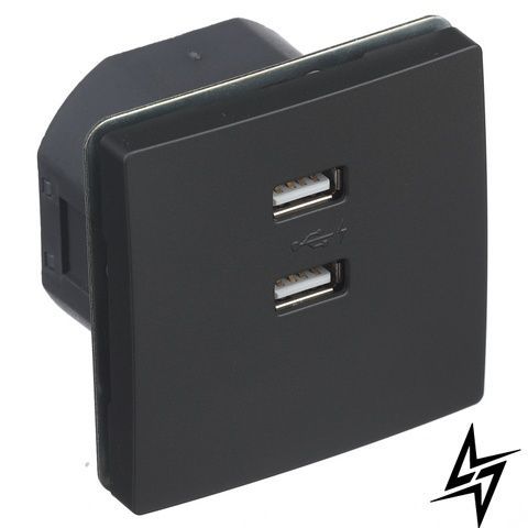 Розетка 2-на USB Siemens Delta Style 2100 mA чорний коссо 13780AC фото