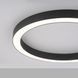 Потолочный светильник Paul Neuhaus Pure-Lines 6309-13 LED 30W 2800Lm 2700-5000K Антрацит - изображение 11