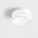 LTX 02.1910.18.930.WH Накладний стельовий світильник GLOW L, D200мм, H105мм, LED 18W, 3000K, 700Lm, 60&deg;, CRI>90, UGR>19, 220V-240V, IP20, опаловий, білий - зображення 1