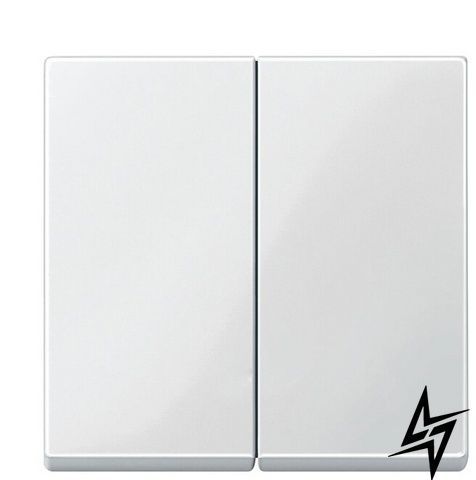 Клавіша вимикача подвійна SYSTEM M біла Schneider Electric Merten MTN432519 фото