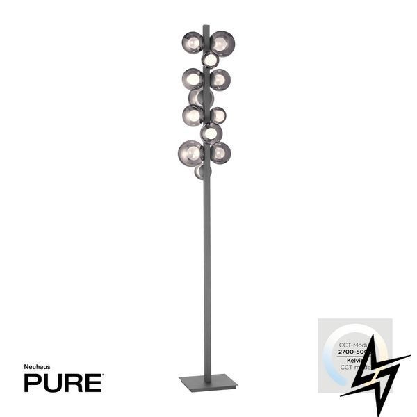 Paul Neuhaus Pure 557-15 Торшер LED 32W 288Lm 2700-5000K Сірий фото