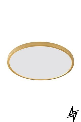 Потолочный светильник Zumaline Cami WM-BP1108-M-G LED 42 Вт, золотой, &Oslash;50 &times; 3 см фото