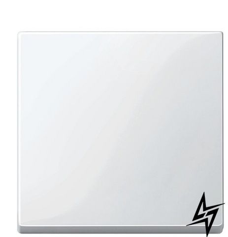 Клавиша выключателя SYSTEM M белая Schneider Electric Merten MTN432125 фото