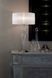 Настольная лампа Ideal Lux Duchessa 044491 хром E27 044491 - изображение 2