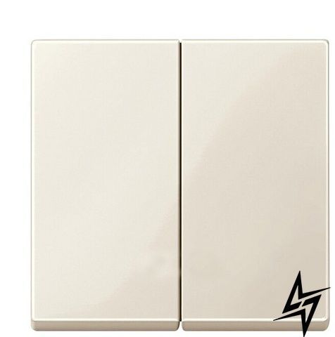 Клавіша вимикача подвійна SYSTEM M бежева Schneider Electric Merten MTN432544 фото