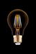 ЛЕД лампа Nowodvorski 9794 Vintage Led Bulb E27 4W 2200K 360Lm 10,6x6 см фото 1/4