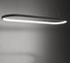 Люстра Oval Led Lamp T23-16626 053515/1000bk фото в дизайні інтер'єру, фото наживо 5/5