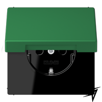 LC1520KIKL32050 Les Couleurs® Le Corbusier SCHUKO®-розетка с откидной крышкой и со встроенной повышенной защитой от прикосновения vert fonce Jung фото