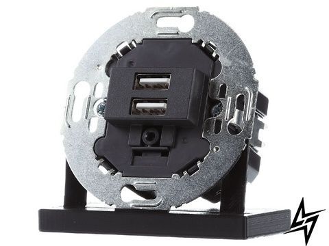 Механизм USB-розетки двойной 230V черная 1930/Glas/R.classic Berker 260215 фото