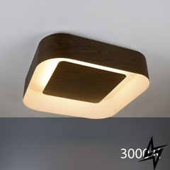 Потолочный светильник 398165.45.91 Imperium Light Zenith ЛЕД  фото в живую, фото в дизайне интерьера