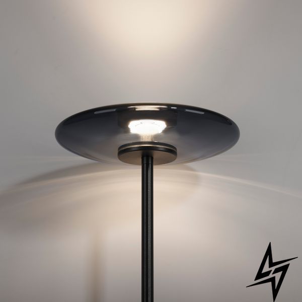 Торшер Paul Neuhaus Pure Vitrum 481-15 LED 14,2W 500Lm 2700K Серый фото