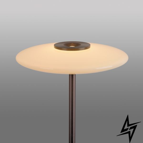 Paul Neuhaus Pure Vitrum 481-34 Торшер LED 14,2W 970Lm 2700K Коричневий фото