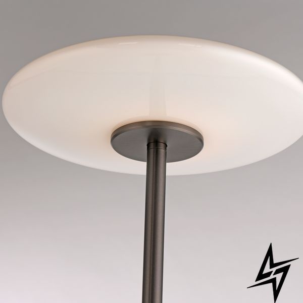 Paul Neuhaus Pure Vitrum 481-34 Торшер LED 14,2W 970Lm 2700K Коричневий фото