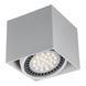 Накладной точечный светильник Zumaline ACGU10-114-N Box 1  фото в дизайне интерьера, фото в живую 1/3