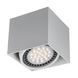 Накладной точечный светильник Zumaline ACGU10-114-N Box 1  фото в дизайне интерьера, фото в живую 2/3