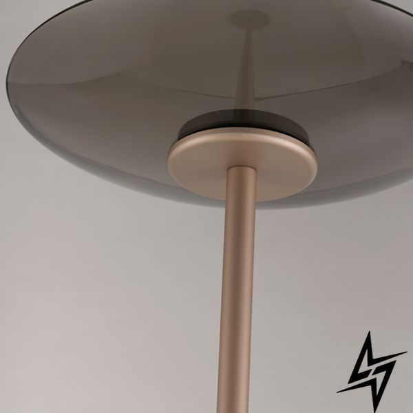 Paul Neuhaus Pure Moon 594-97 Торшер LED 18W 2140Lm 2700K Коричневий фото