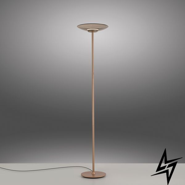 Paul Neuhaus Pure Moon 594-97 Торшер LED 18W 2140Lm 2700K Коричневий фото