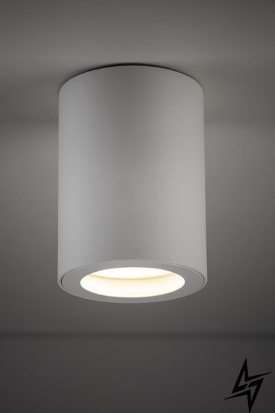 Точечный накладной светильник TK Lighting Ligno 10932 белый GU10 IP44 10932 фото