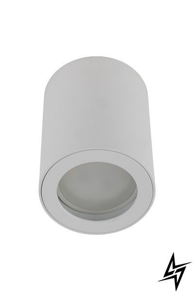 Точечный накладной светильник TK Lighting Ligno 10932 белый GU10 IP44 10932 фото