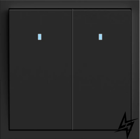 Выключатель 2-клавишный с подсветкой Ardero Soft EV112L-B механизм 10А черный 80741 (без рамки) фото