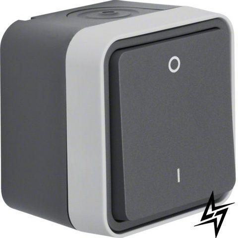 Выключатель 2-полюсный 0-I IP55 серый 10АX/250В W.1 Berker 30723505 WNC008 фото