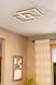 Потолочный светильник Eglo Lomaltas-Z 99677 ЛЕД 53054 фото в дизайне интерьера, фото в живую 2/3