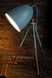 Декоративна настільна лампа Eglo Dundee 49337 74538 фото в дизайні інтер'єру, фото наживо 4/8
