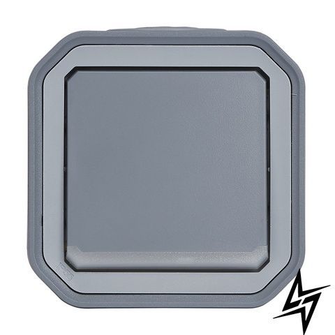Выключатель 1-кл. 2-пол. 10А/250В с индикацией накл. Plexo New серый Legrand 069726L фото