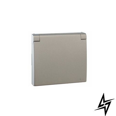 Центральная панель розетки с крышкой 2P+Z ШУКО (IP44) Серебро 50634 TPR Efapel APOLO 5000 фото