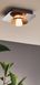 Точечный накладной светильник Eglo Torano 97521 ЛЕД 14660 фото в дизайне интерьера, фото в живую 6/6