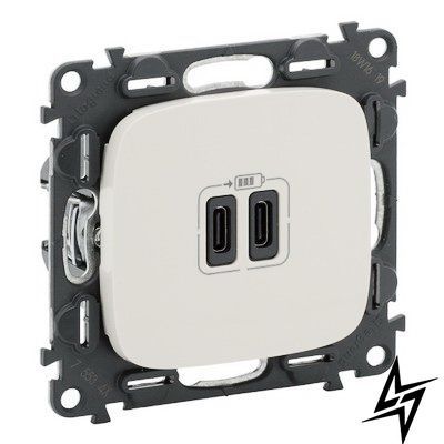 USB-розетка Legrand 755349 Valena Allure, перлина, 220 В 755349 фото