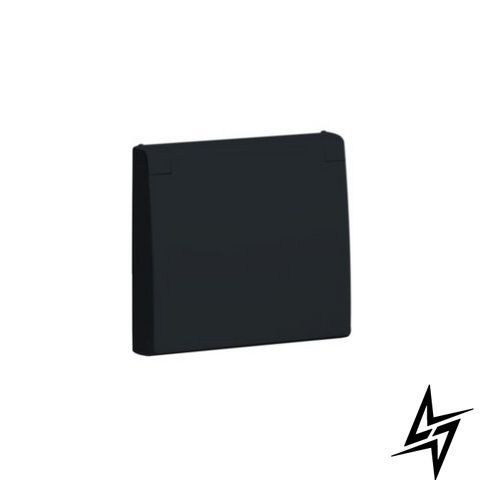 Центральная панель розетки с крышкой 2P+Z ШУКО (IP44) Чёрный матовый 50634 TPM Efapel APOLO 5000 фото