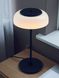 Настольная лампа Holly Lamp T23-38324 052240/1tbk фото в дизайне интерьера, фото в живую 1/3