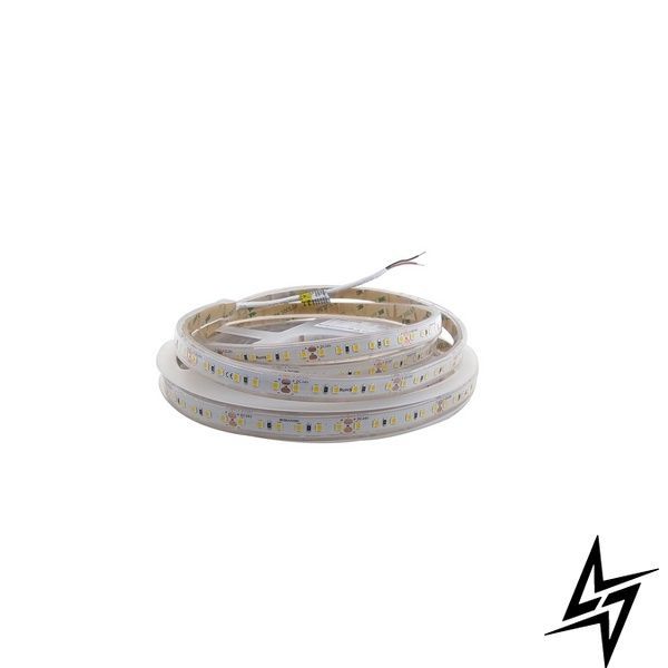LED лента RISHANG 120-2835-24V-IP20 9.6W Blue 5м RV08C0TC-A-B RV08C0TC-B-B фото