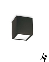 Вуличний настінний світильник Ideal Lux Techo 251578  фото наживо, фото в дизайні екстер'єру