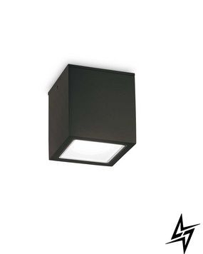 Потолочный уличный светильник 251578 Ideal Lux Techo GU10 фото