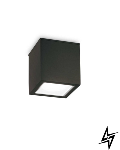Вуличний настінний світильник Ideal Lux Techo 251578  фото наживо, фото в дизайні екстер'єру