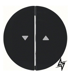 Двухнопочная клавиша выключателя жалюзи R.x 16252045 с символом «Стрелка» (черная) Berker фото