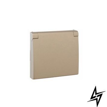Центральна панель розетки з кришкою 2P+Z Шуко (IP44) Платина 50634 TPL Efapel APOLO 5000 фото