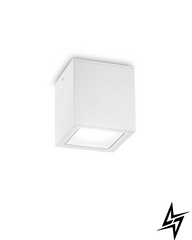 Вуличний настінний світильник Ideal Lux Techo 251561  фото наживо, фото в дизайні екстер'єру