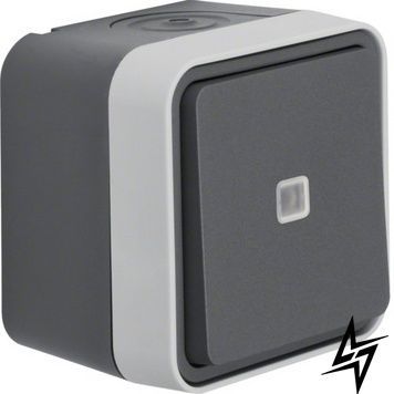 Кнопка с подсветкой IP55 серая 10АX/250В W.1 Berker 50763505 WNC021 фото